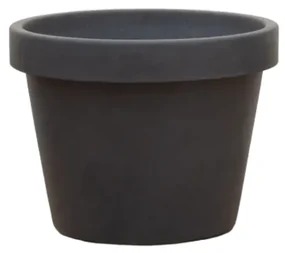 Lira antra