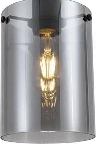 Design hanglamp zwart met smoke glas - Domo