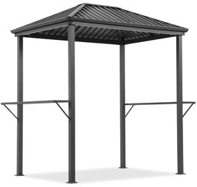 Terni 2 x 1,5m metalen barbecue prieel Tuinpunt