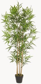 Kunstplanten Bamboe, 2-delig