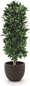 Kunstplant Designplants Luca Lifestyle | Groen Kunststof  | Inclusief bloempot | Kees Smit Tuinmeubelen