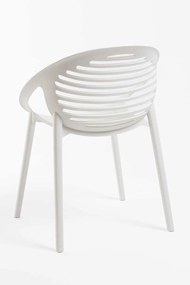 Cenda Stoel