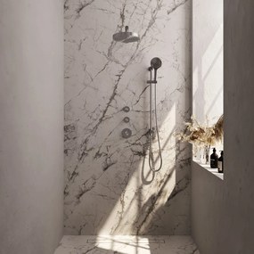 Brauer Stripe inbouw regendouche met 25cm hoofddouche, rechte muurarm en 3 standen handdouche en glijstang set 10 RVS geborsteld PVD