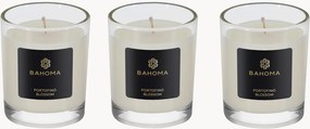 Reiskaarsenset (Pearl Portofino Blossom), 3-delig
