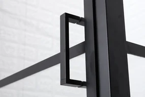Saniclear Nero douchedeur 100x200 8mm NANO met zwarte profielen