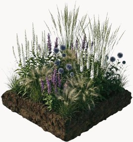 Planten Perennial Bedding Plants Isa Perennial, 10-delig