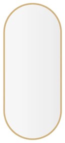 Mueller Ovalis ovale spiegel met lijst 30x70cm geborsteld messing