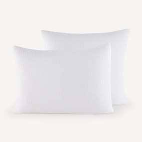 Kussensloop in biologisch tetra, Yafa