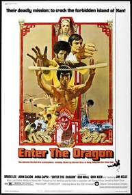 Ilustratie Enter The Dragon 0