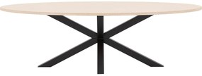 Goossens Eettafel Stone, Ovaal 250 x 120 cm