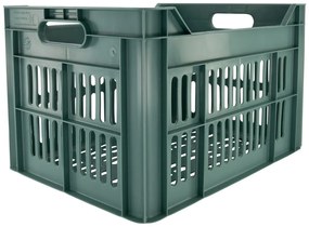 HEMA Fietskrat Recycled 30L Groen