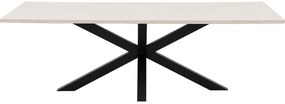Goossens Eettafel Stone, Rechthoekig 240 x 110 cm