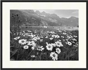 Ingelijste digitale print Alpine Meadow