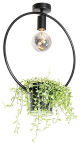 Moderne plafondlamp zwart met glas rond - Roslini