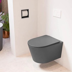 Mondiaz Lavie toiletpot randloos met softclose zitting dark grey