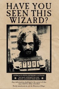 Poster Harry Potter - Sirius Zwarts