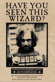 Poster Harry Potter - Wanted Sirius Black, (61 x 91.5 cm)