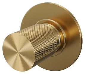 Brauer Gold Carving stopkraan geborsteld messing PVD