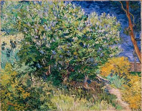 Kunstreproductie Lilac bush (1889), Vincent van Gogh