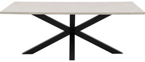 Goossens Eettafel Stone, Rechthoekig 210 x 110 cm