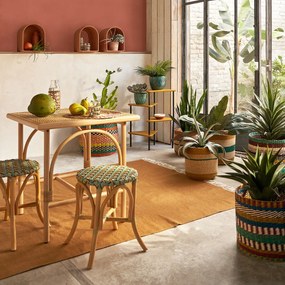 Multicolor mand in herbarium, Saski