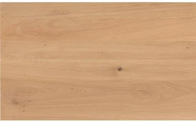 Goossens Eettafel Blade, Strak blad 200 x 100 cm 6 cm dik
