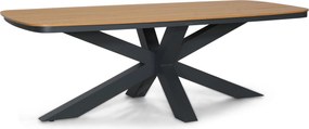 Dining Tuintafel rechthoekig  Grijs Camila