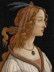Kunstdruk Portrait of Simonetta Vespucci - Sandro Botticelli, (30 x 40 cm)