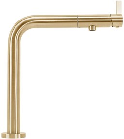Keukenkraan REA COLE Gold Brush