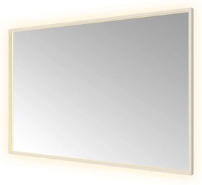 Hotbath &More Square rechthoekige spiegel 120x80cm RVS