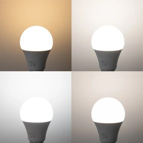 Set van 5 Smart E27 LED lampen A60 mat RGBW 9W 806 lm 2700-6500K