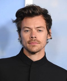 Foto Harry Styles at the Premiere Of My Policeman, Steve Granitz