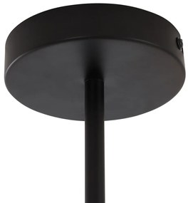 Moderne plafondlamp zwart met smoke glas 6-lichts - Ryan