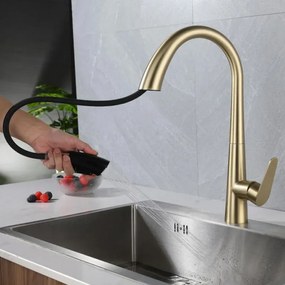 Keukenkraan REA Ross Gold Brush