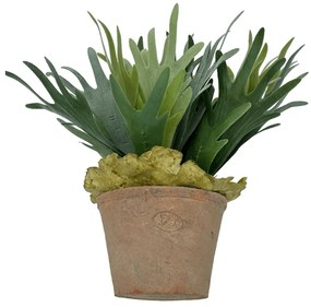 Hertshoornvaren Kunstplant inclusief pot - 30 cm