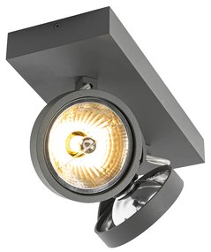 Design spot grijs verstelbaar 2-lichts - Go