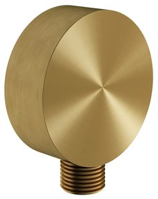 Hotbath Archie wandaansluitbocht rond messing geborsteld PVD