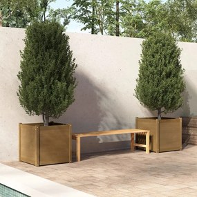 vidaXL Plantenbakken 2 st 60x60x60 cm massief grenenhout honingbruin