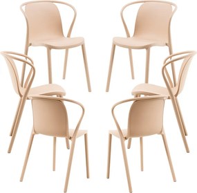 Set 6 Zotli Stoelen