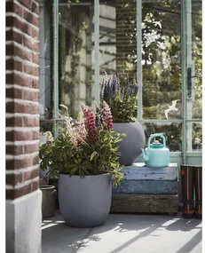 Capi Bloempot Urban Smooth 54x52 cm donkergrijs