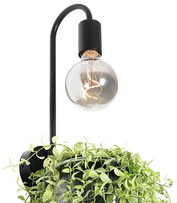 Moderne wandlamp zwart met glas - Roslini Modern E27 Binnenverlichting Lamp
