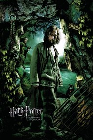 Kunstafdruk Harry Potter and the Prisoner of Azkaban - Sirius