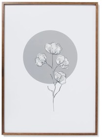 HEMA Fotolijst Massief Notenhout 50x70 (hout)