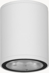 Outdoor LED plafondlamp Lumina