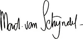 Mart van Schijndel - Delta Vaas