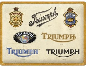 Metalen bord Triumph - Logo Evolution