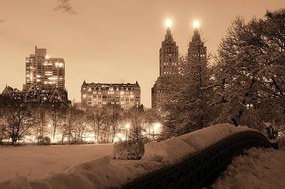 Foto Central Park winter, rabbit75_ist