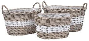 vidaXL Plantenbakken verhoogd 3 st wicker met PE-voering