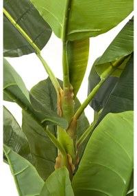 Kare Design Banana Tree Kunst Bananenplant