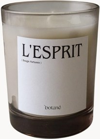 Geurkaars L'esprit (dennennaalden, cederhout, wierook & groene planten)